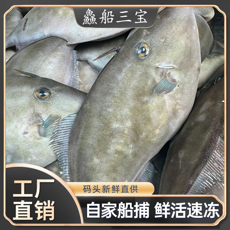 【渔三宝推荐】烟台发货渤海扒皮狼6斤 速冻发货顺丰