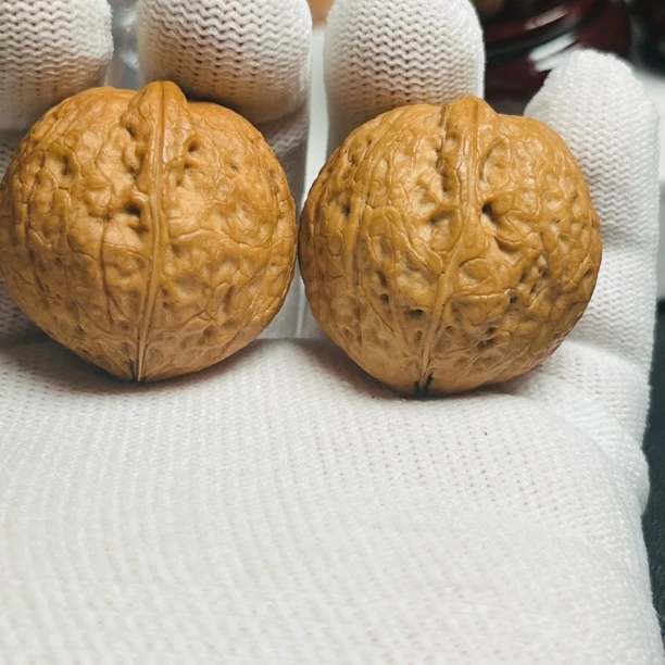 35mm 小西瓜 克重 40