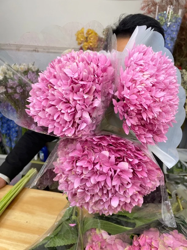 短腿小小粉色绣球4支送1支（到手5支）花头10～15cm