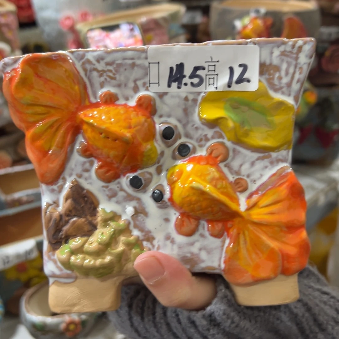 多肉花盆拍满20包邮爱退款拉黑