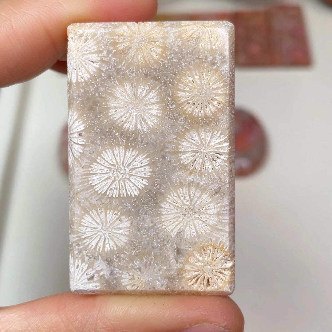 【闪购商品】未镶嵌吊坠(赠链)硅化玉