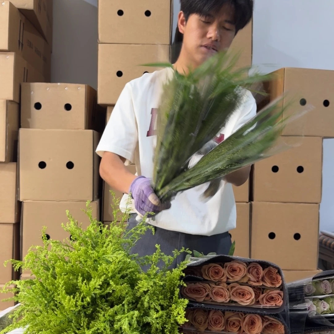 喷泉草3扎包邮价秒杀