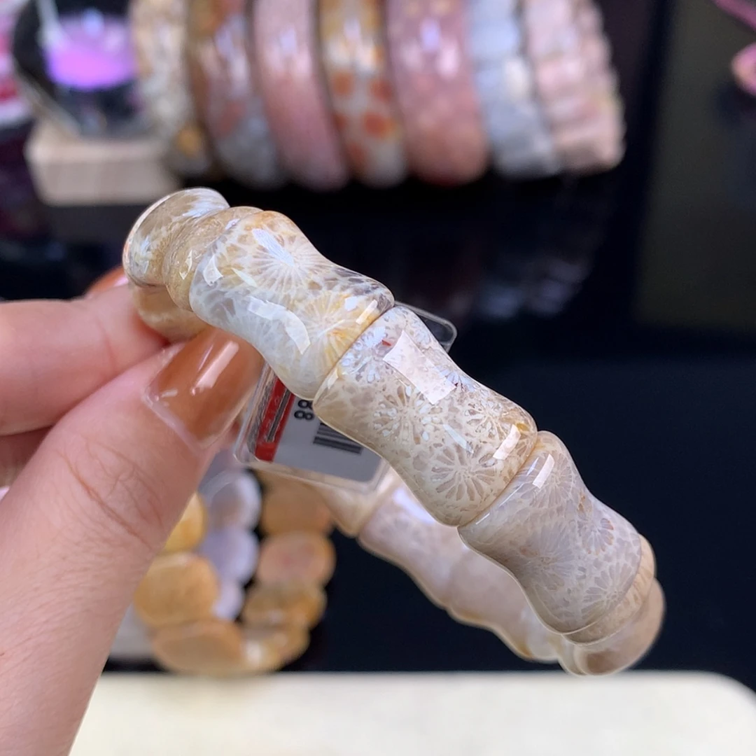 【闪购商品】颈饰未镶嵌硅化珊瑚（珊瑚玉）开播福利3号