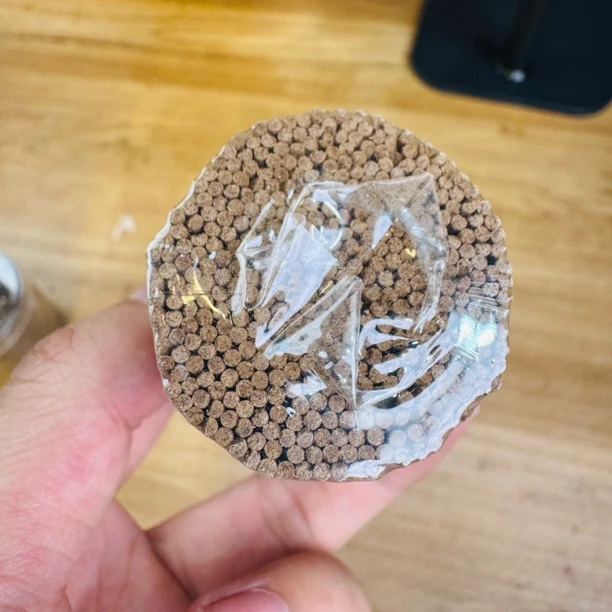 〖沉境〗芽庄糖化红土 线香 工厂溯源