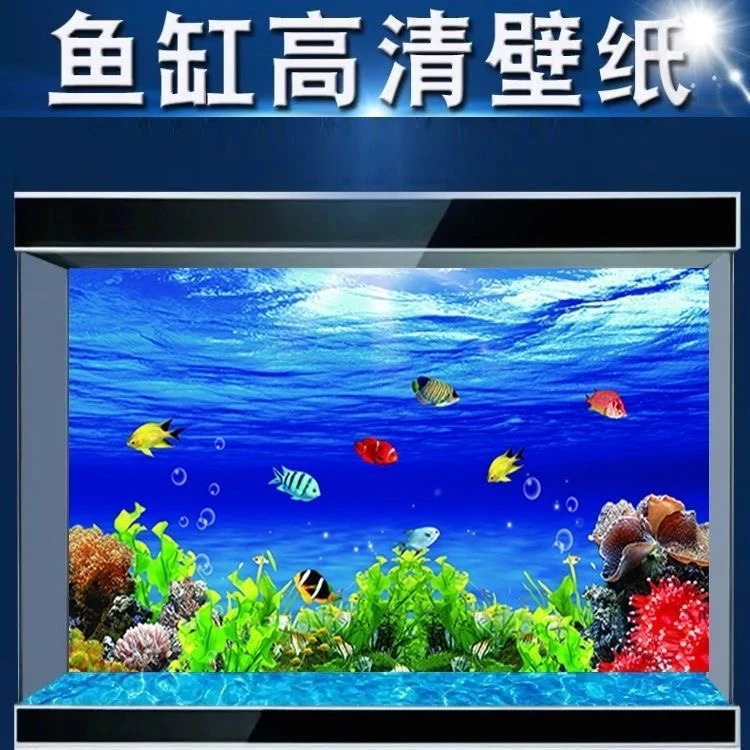 鱼缸背景贴纸高清图定制3d立体壁画海洋世界水族箱水草自粘贴纸5d