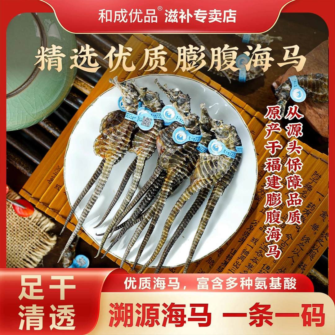 【和成优品】膨腹海马