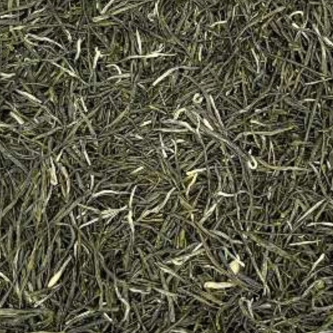 2025新茶保康炒青