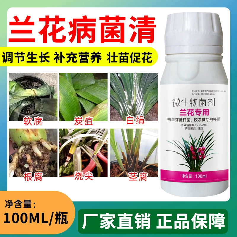兰花专用兰花软腐根腐白绢黑腐炭疽茎腐种兰花配方升级微生物菌剂