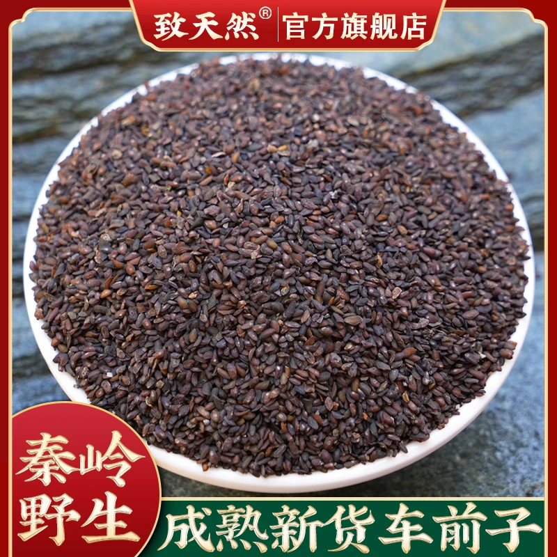 秦岭野生车前子成熟新货车前草籽中药材平车前原色新货泡水有甘草