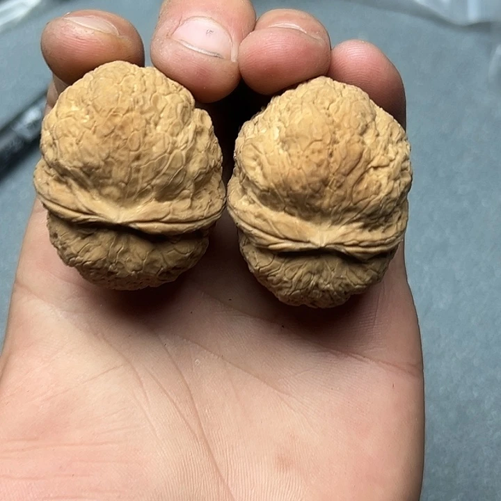 文玩核桃把件54号粗筋元宝