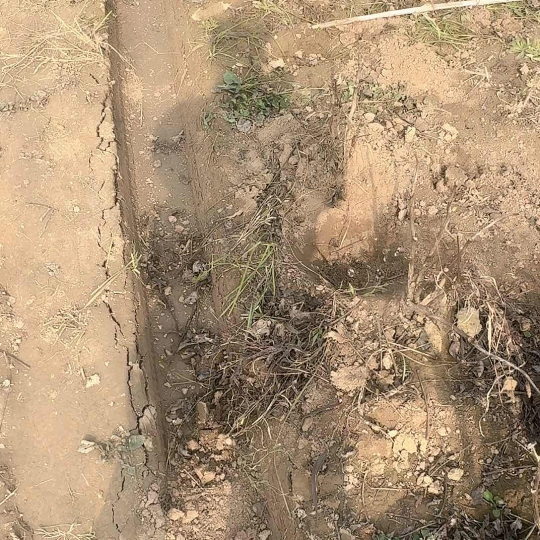 完全开放1111111111