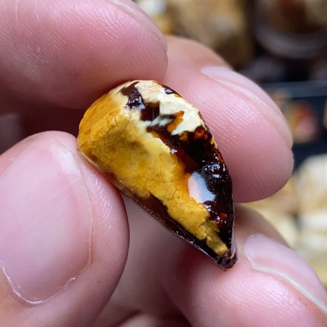 定制琥珀未镶嵌定制琥珀