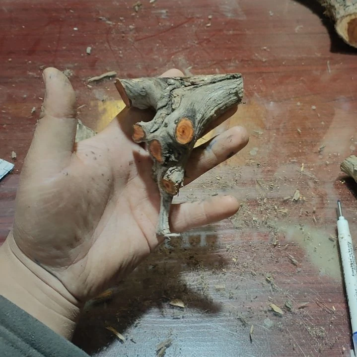 俄***伟大果紫檀（缅甸花梨）