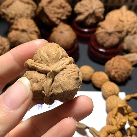 超***生蛤蟆三棱一个