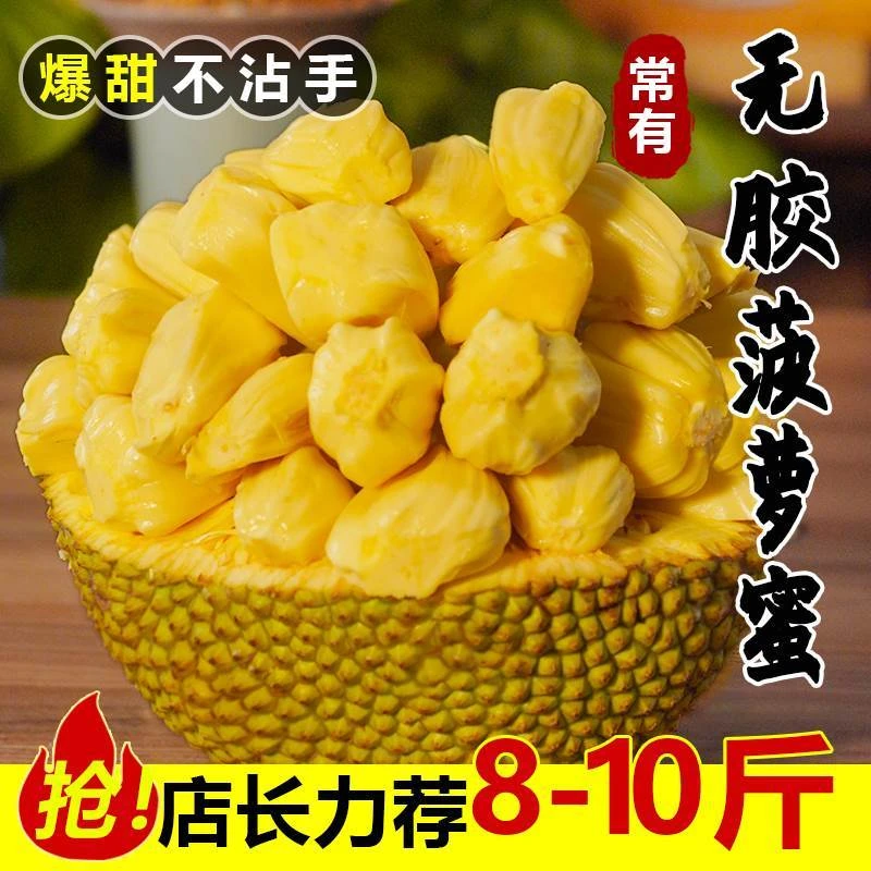 【二狗哥宠粉】超甜香无胶金苞一号珍珠本地常有无胶少胶菠萝蜜