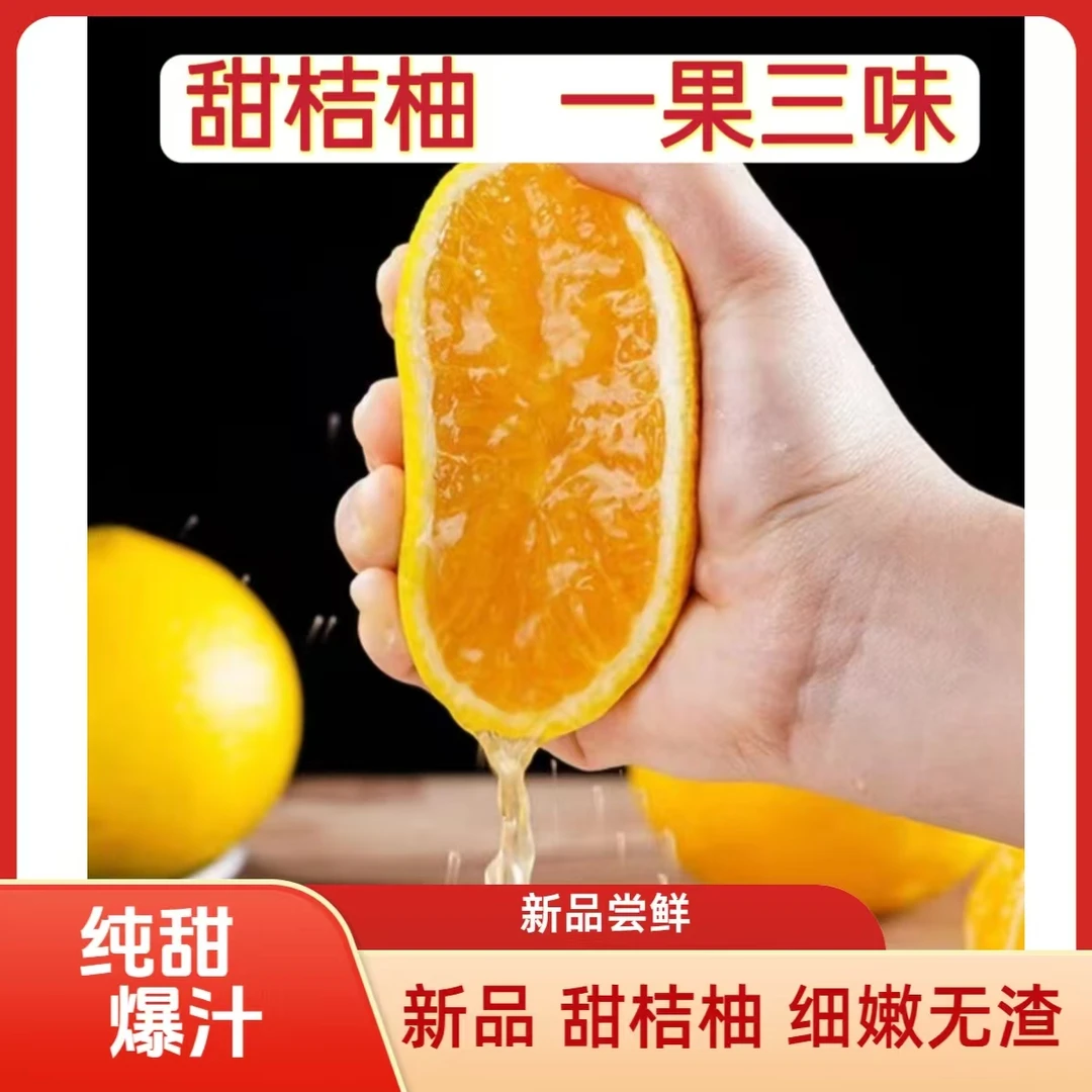 新品甜桔柚纯甜爆汁新鲜采摘湖南怀化安江皮薄肉厚香甜甜心桔柚