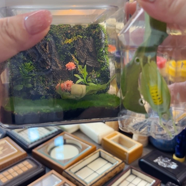 哈哈哈带翡螽一个哈哈