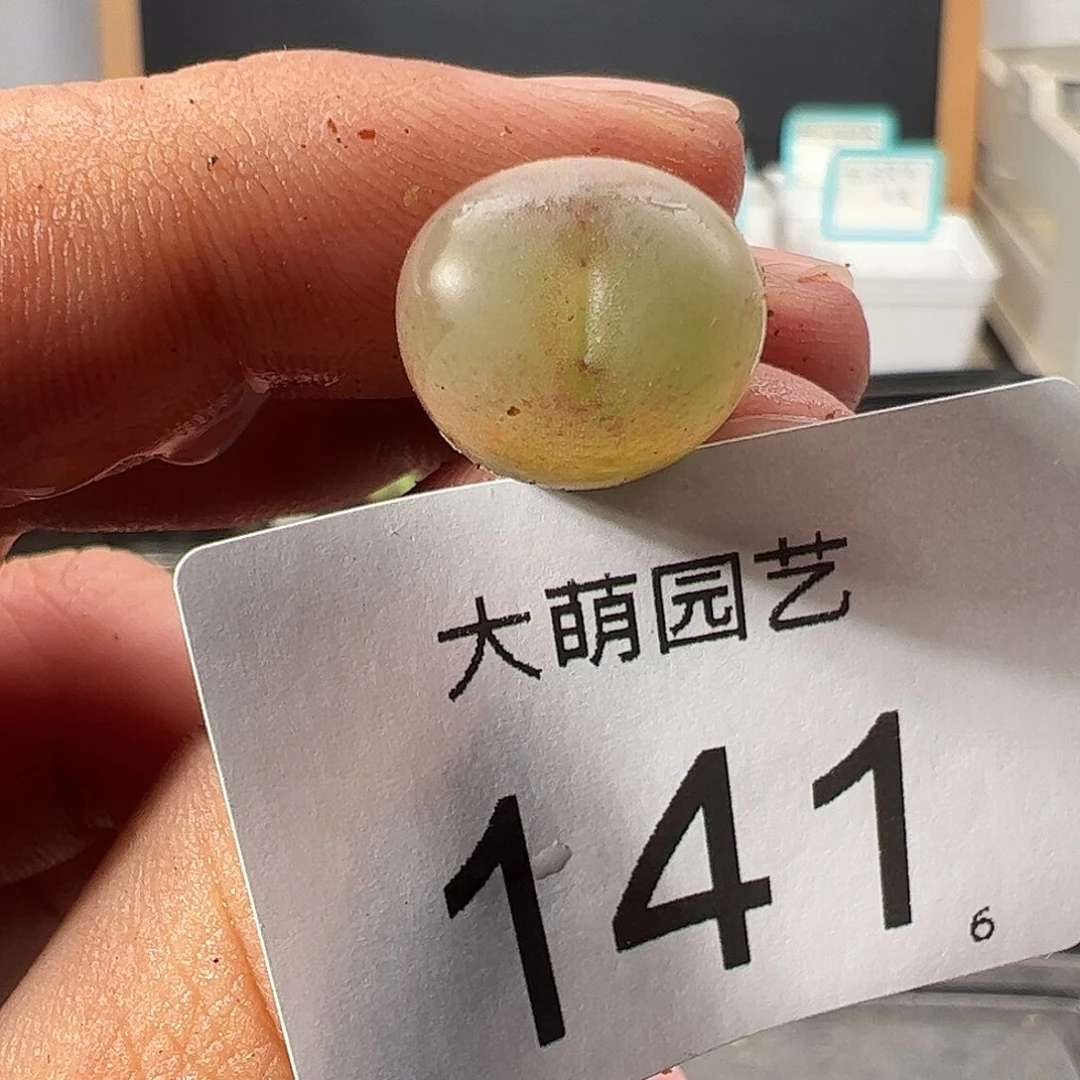 0000141 一物一拍……