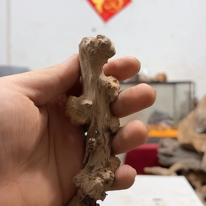 柏木用****1我们的生活是