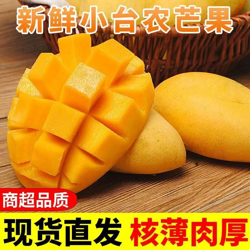 正宗小台芒当季新鲜台农芒果香甜多汁口感鲜美现摘现发