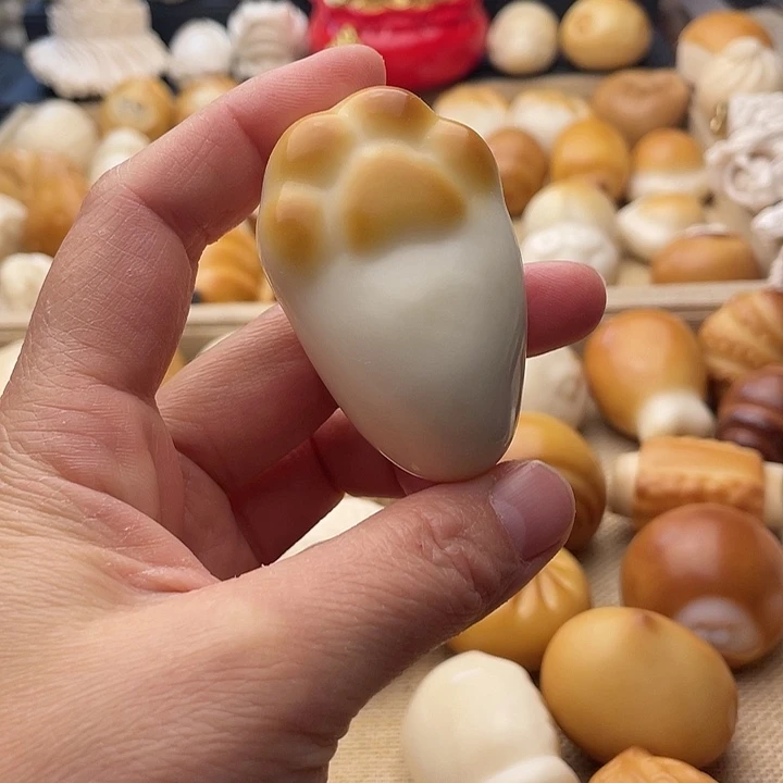 菩提根/象牙果吊坠长猫爪5636