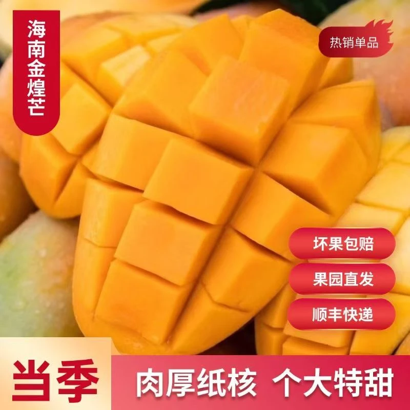 【顺丰/海南直发】海南金煌芒果水仙芒礼盒装新鲜应季水果香甜多汁
