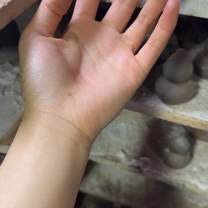 树***紫泥茶壶坭兴陶龙窑柴烧大寺