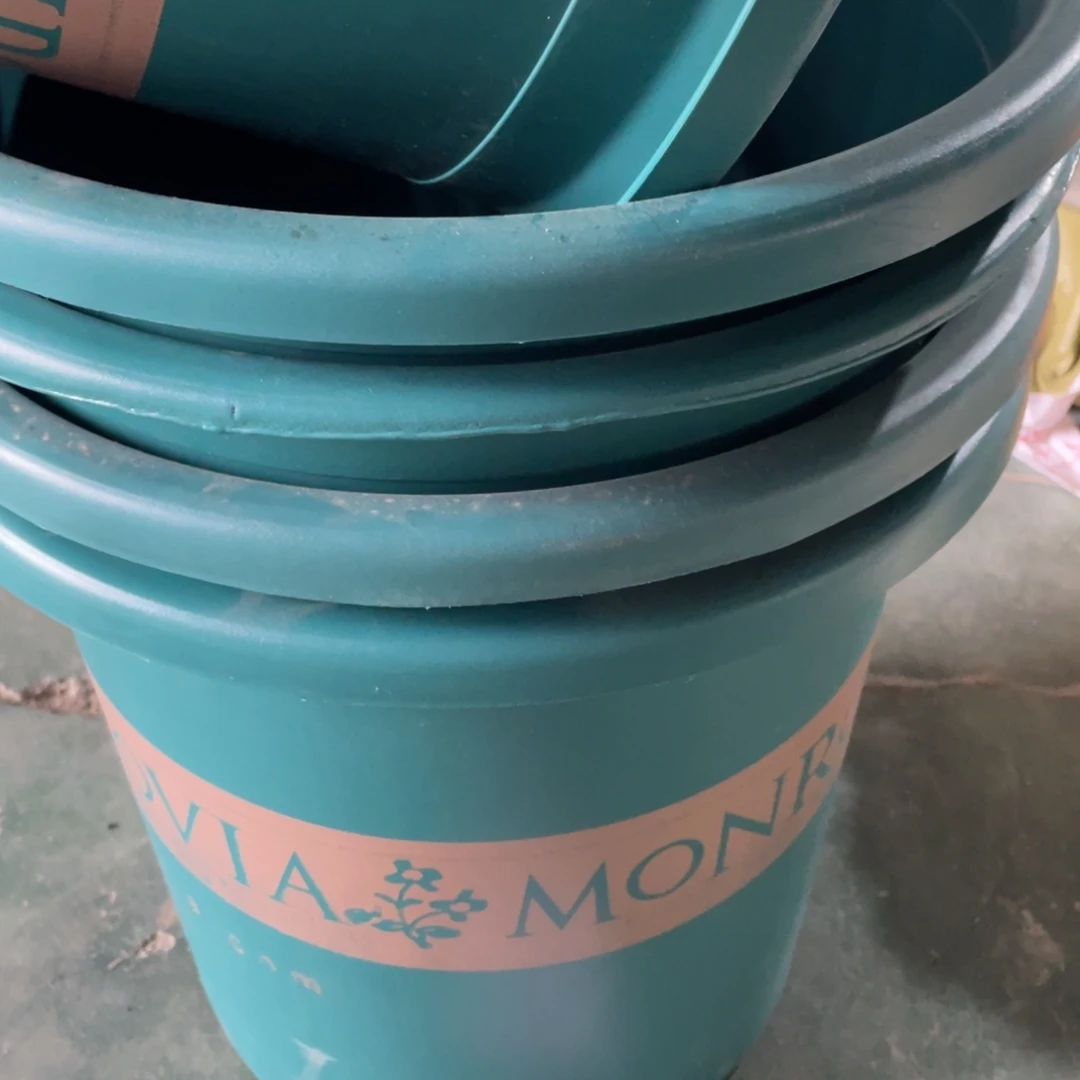 编号是146号的146号和