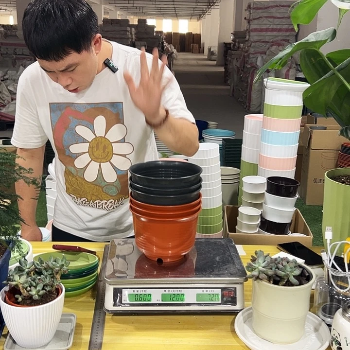 矮陶口18高12混色6个无托