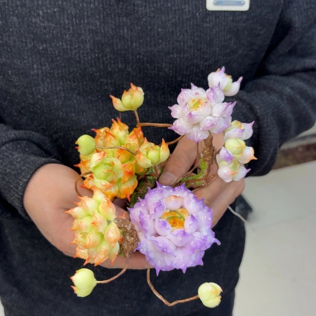 *****树脂制品7号2个哦哦哦哦哦哦哦