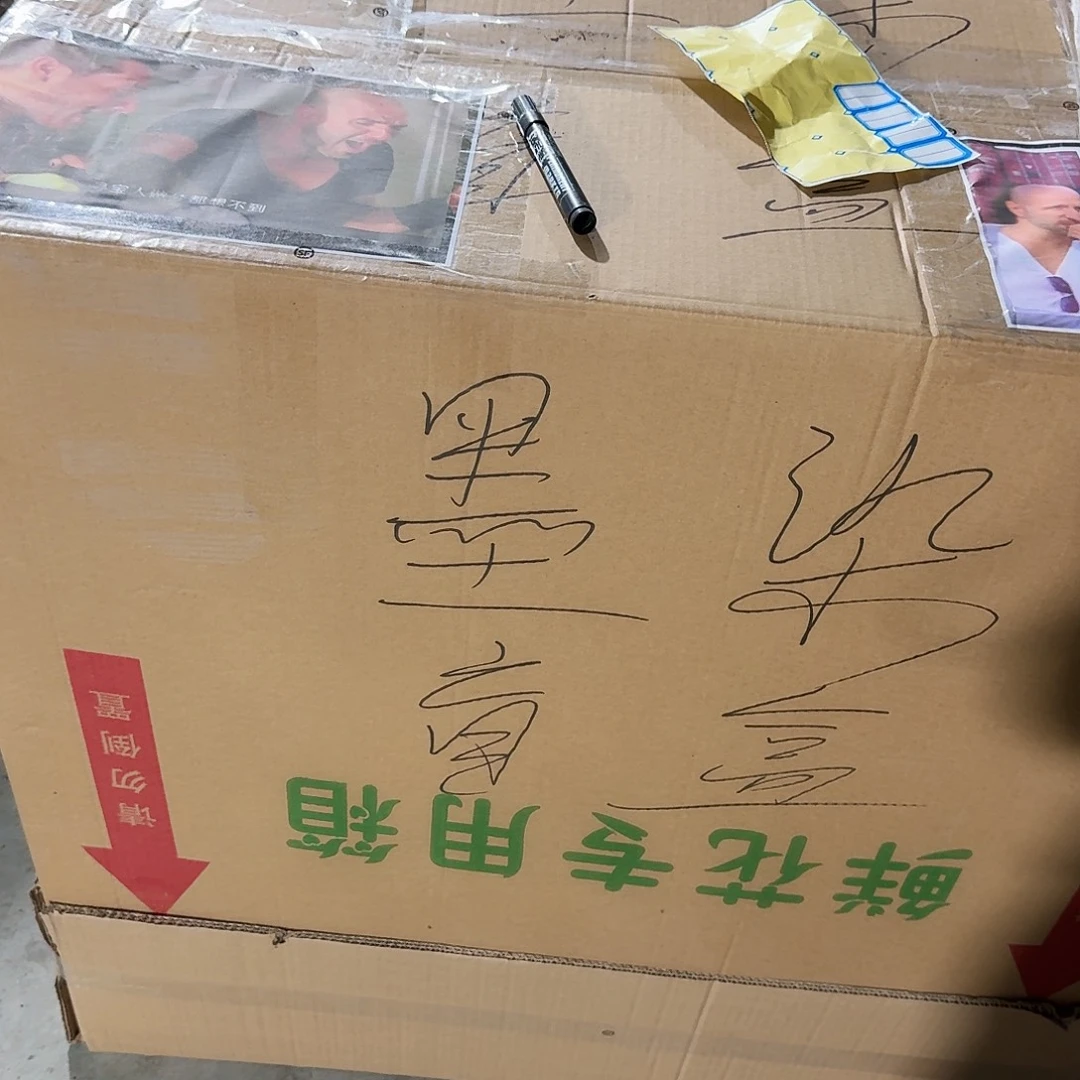 用***8无花朵龟背竹一物一拍