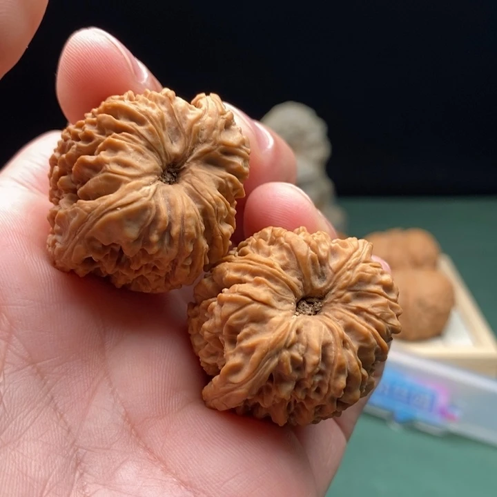 文玩核桃把件36尺凹底留疤涿鹿南将石