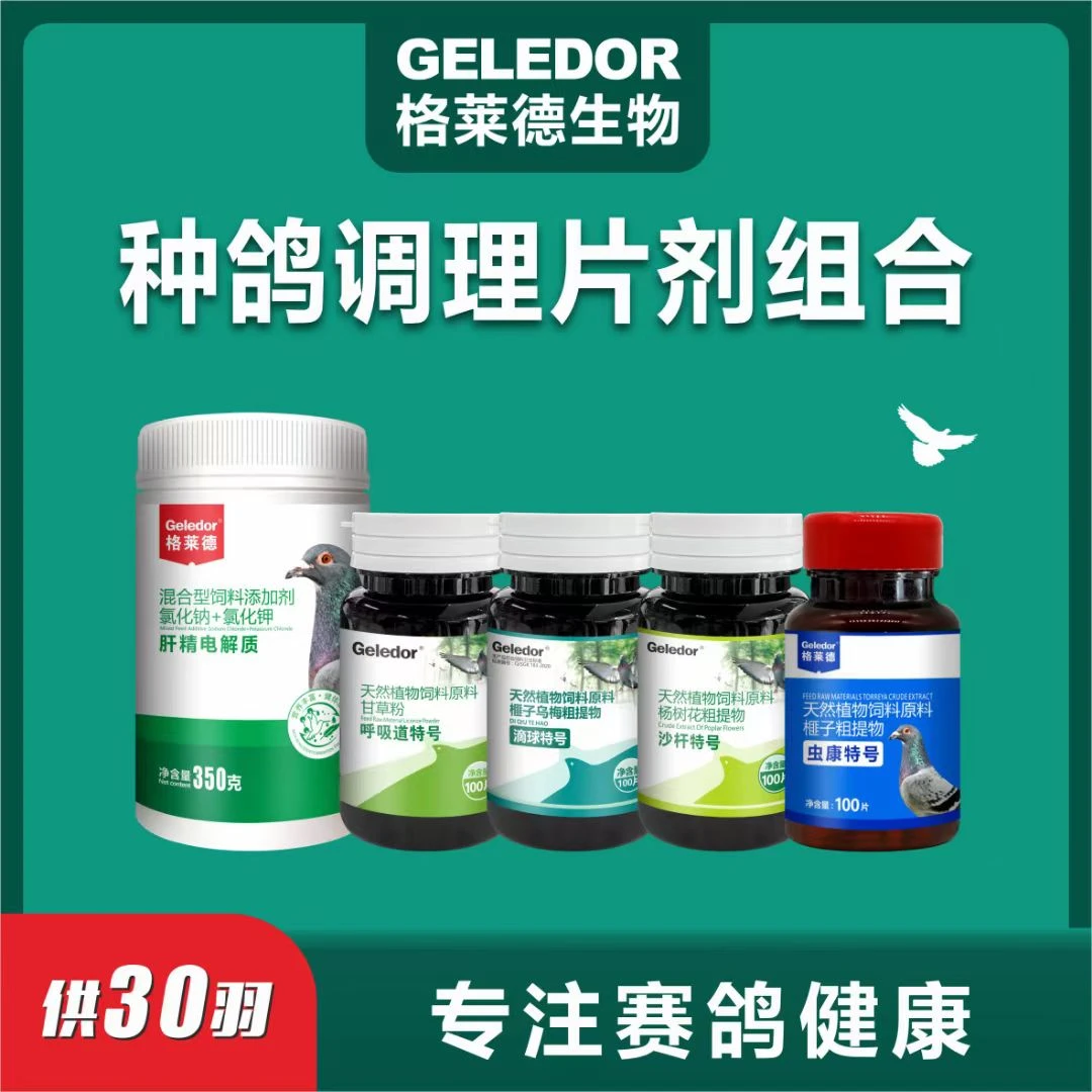 Geledor/格莱德格莱德  种鸽整理组合  赛鸽信鸽用品 套餐自选