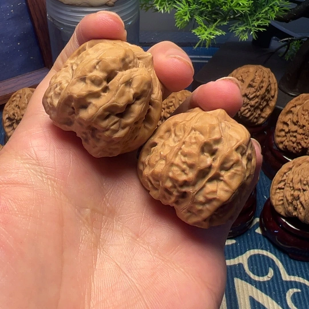 精美36尺蛤蟆头核桃