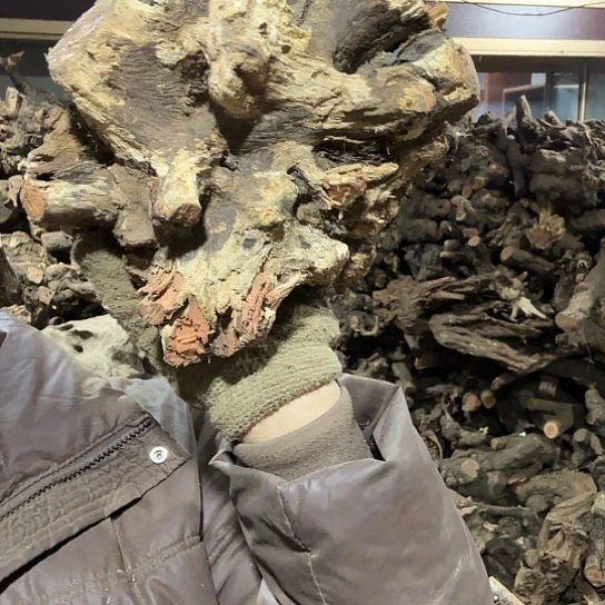 香榧木米*鼠火琉璃等都是毛料摆件