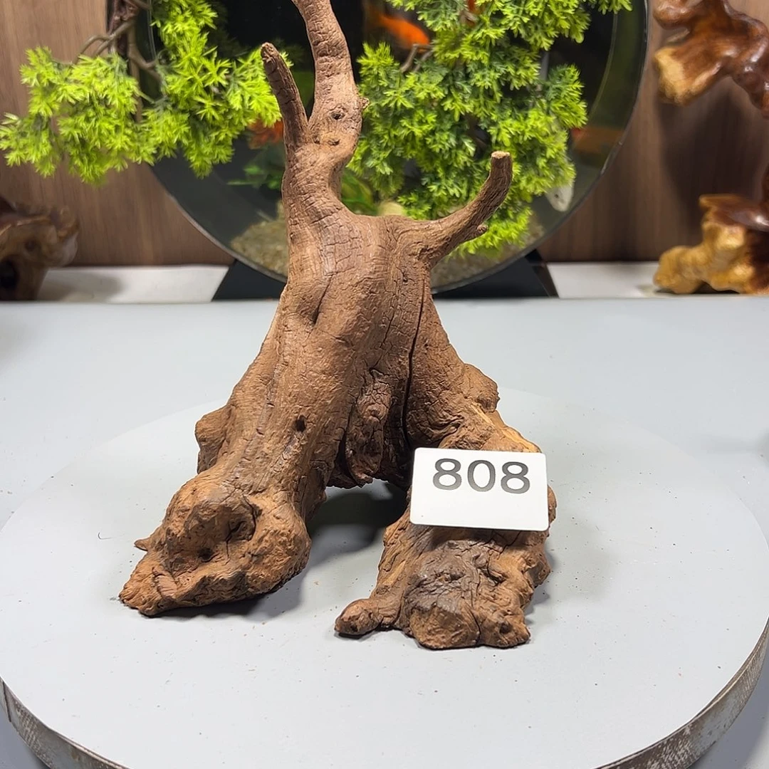 大果紫檀（缅甸花梨）用****5