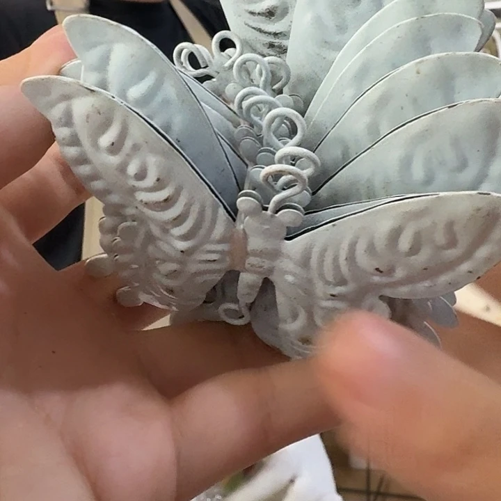 核桃木/黑胡桃（胡桃木）