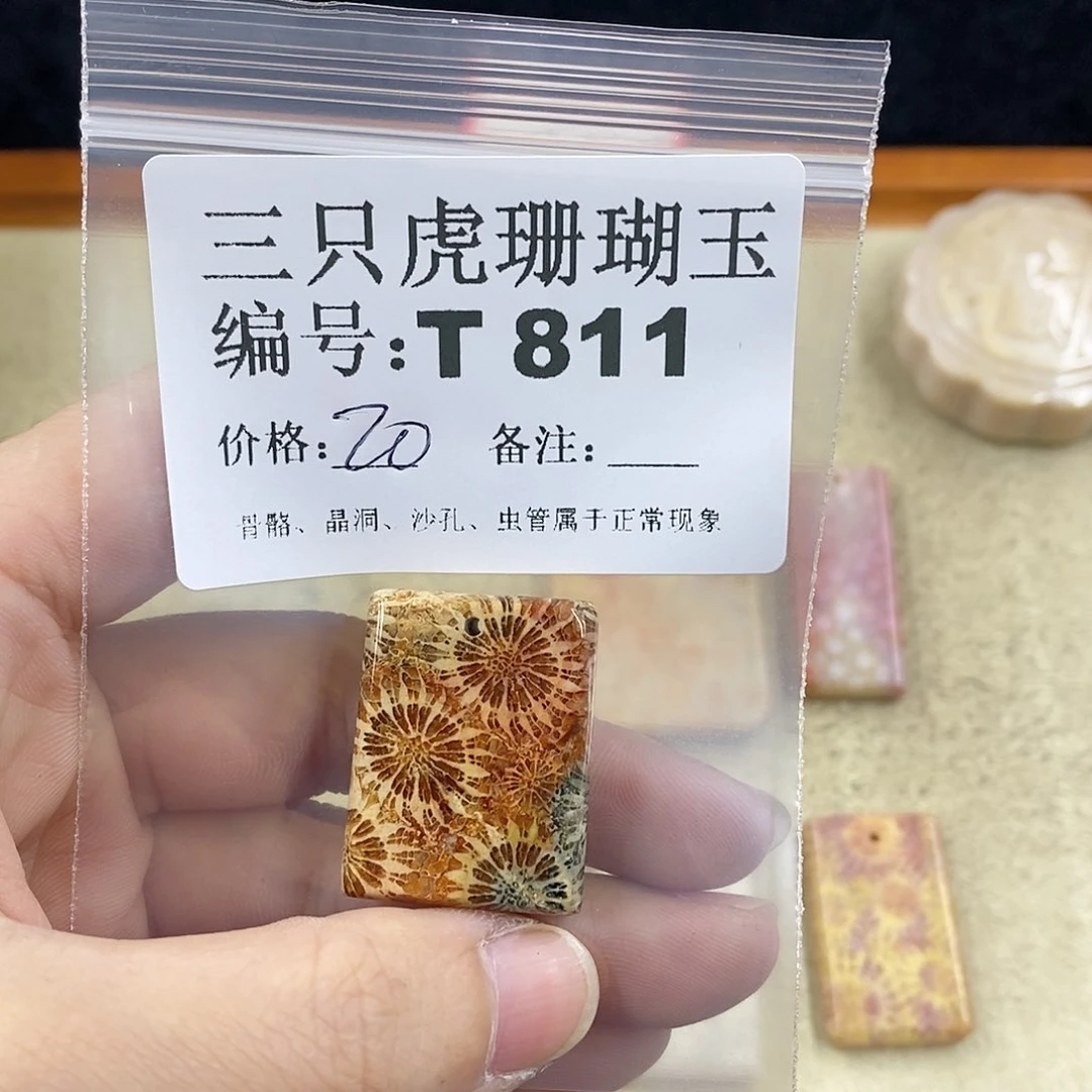 硅化珊瑚（珊瑚玉）1未镶嵌花**岸