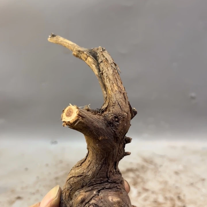 木***城崖柏瘤花坨坨把件