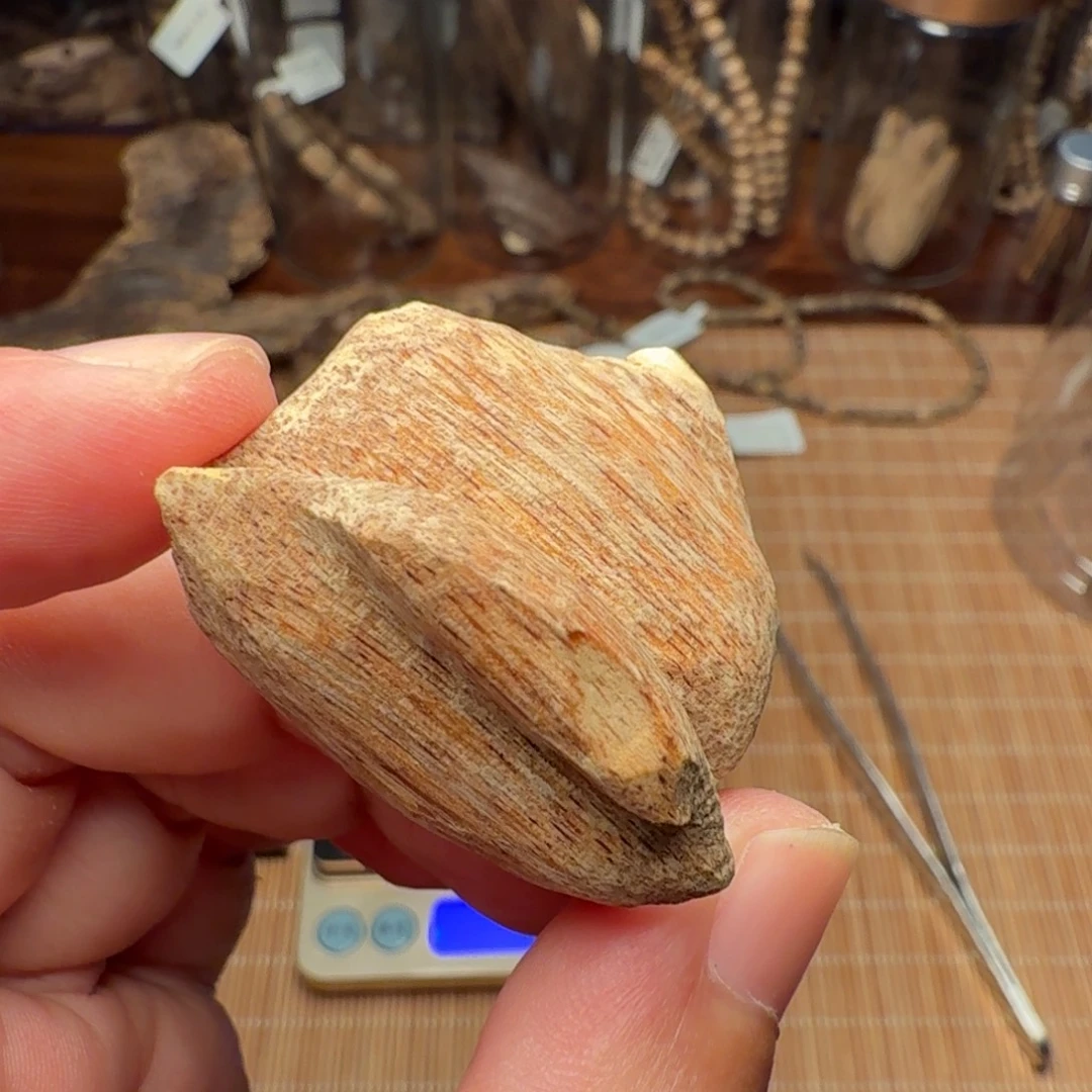 沉香广西博白大瓜子