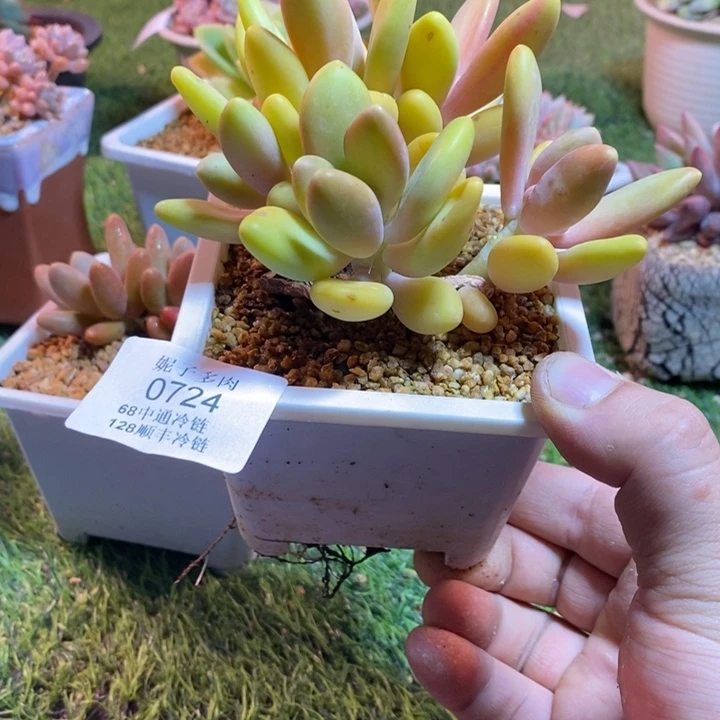0724啊啊啊啊啊啊啊啊啊啊啊