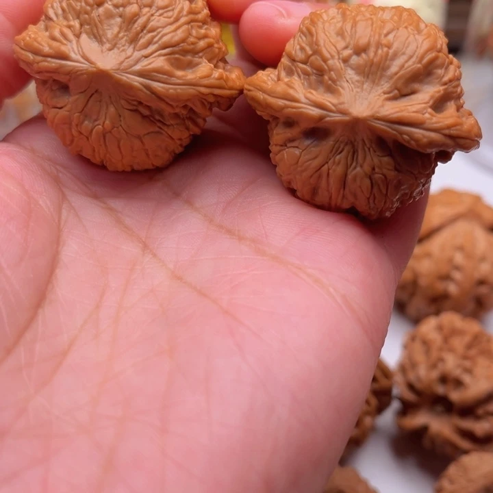 木质类泥鳅背40文玩