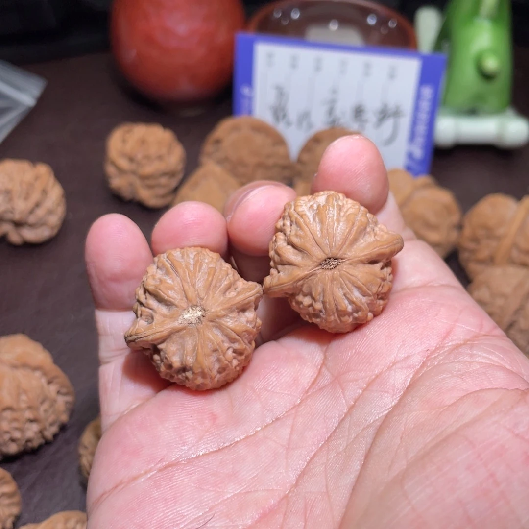 加**山文玩核桃纯野生果