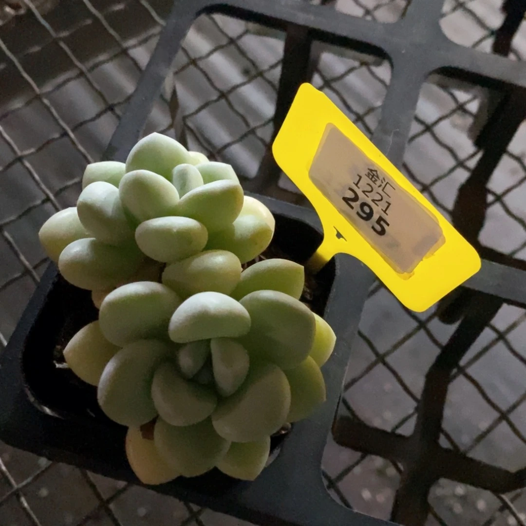 福利多多。1221295