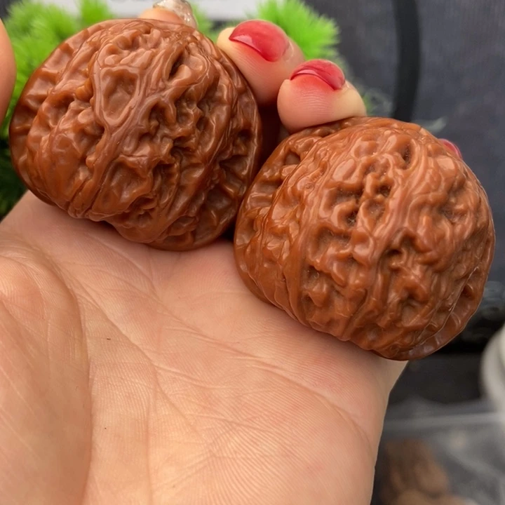 董*，42尺机刷大白狮子