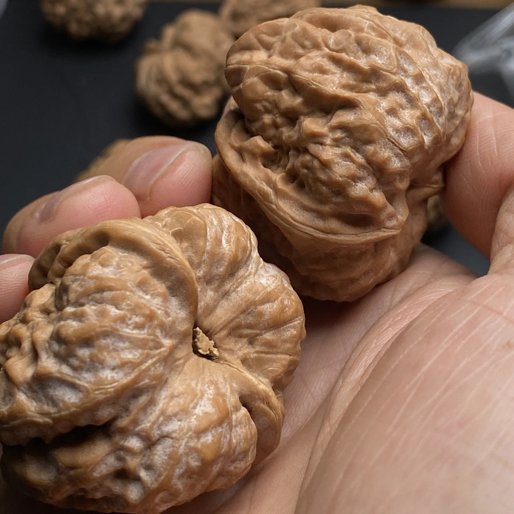 麻核桃文玩核桃链接专属