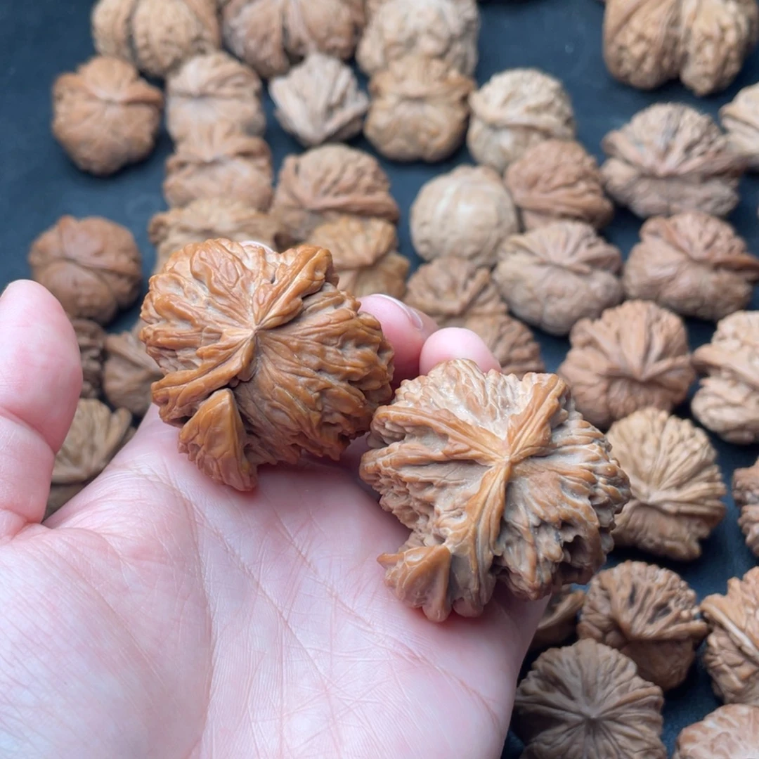 把件文玩核桃44白狮子角