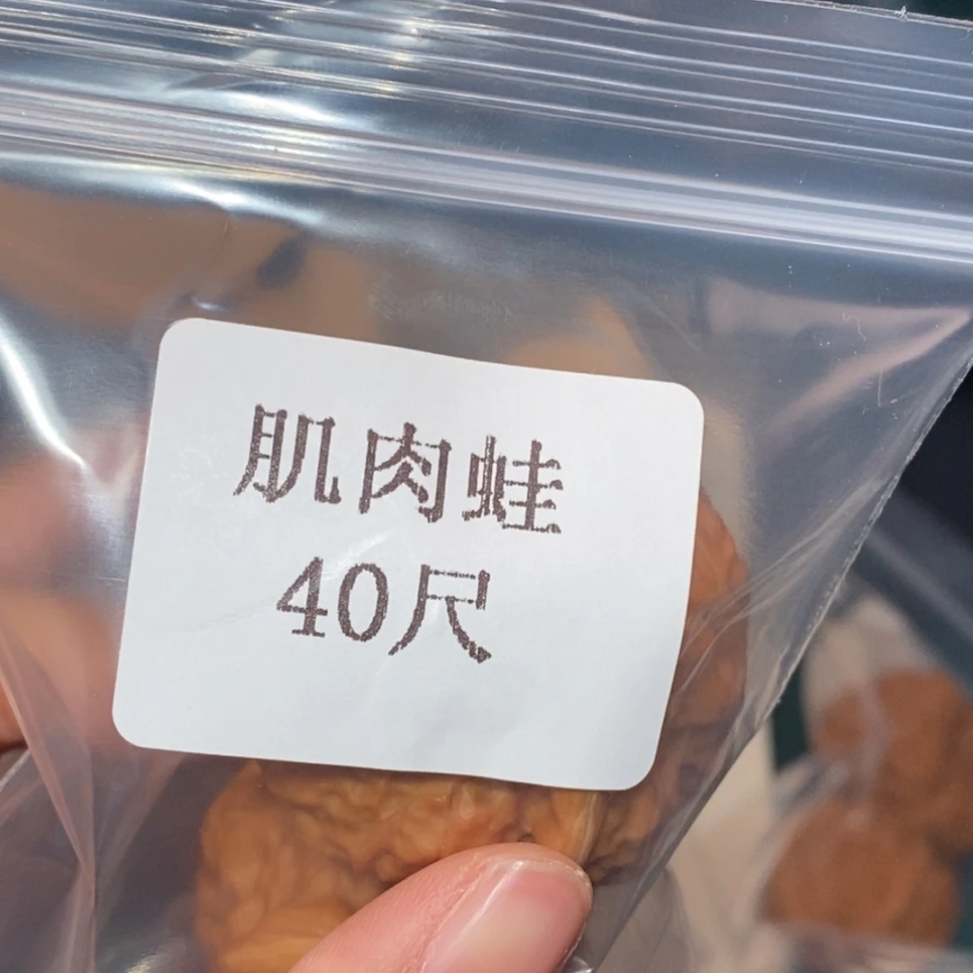 文玩核桃吊坠40肌肉蛙