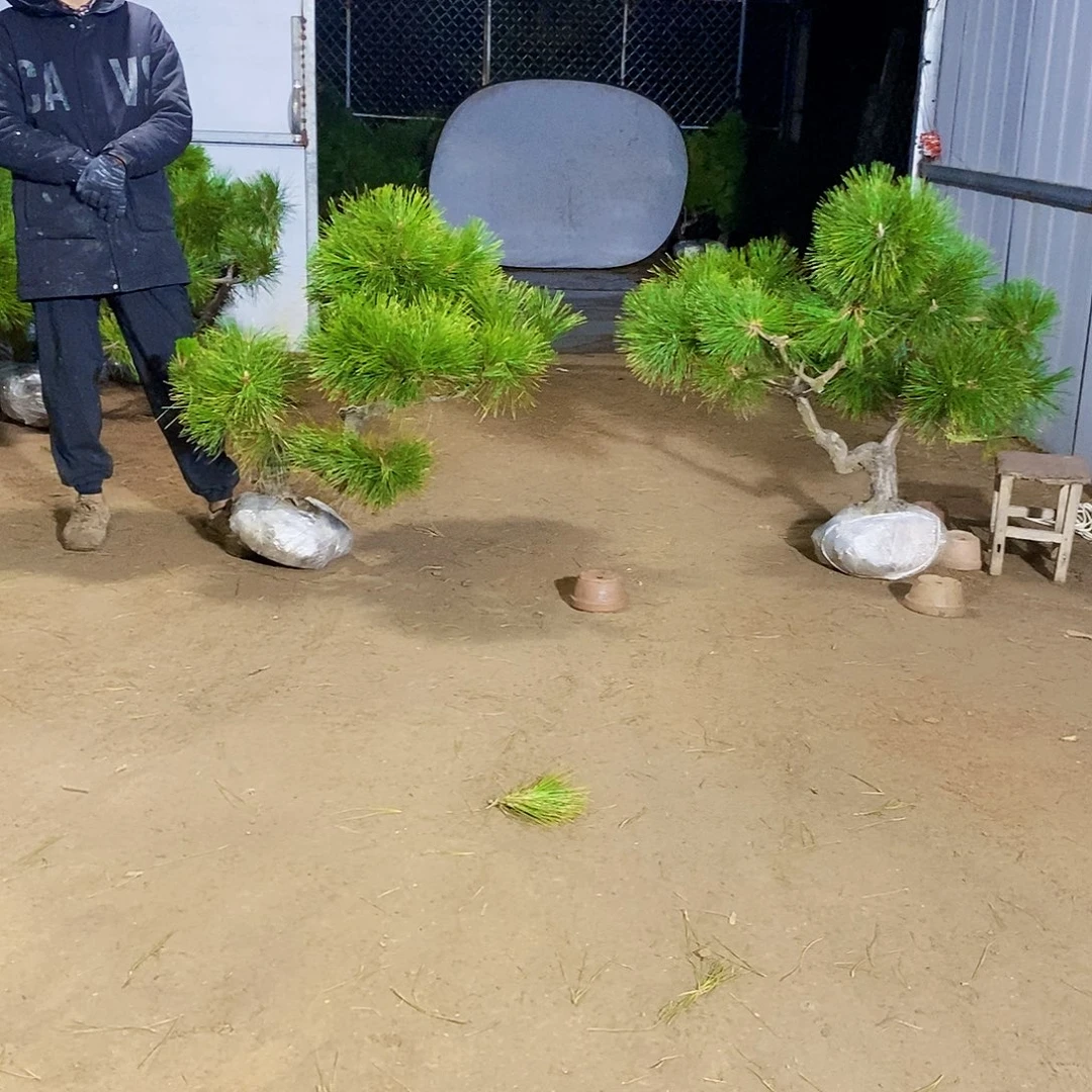 牛***完全开放111111111111111111