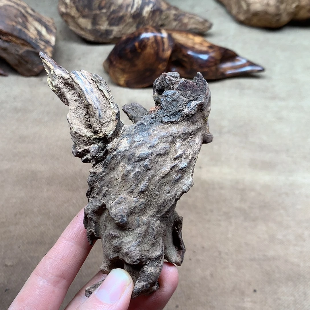 黄花梨/降香黄檀原材料品香料